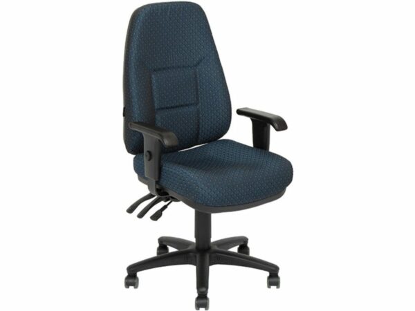 Ergonomic Office Chair #1: Enterprise